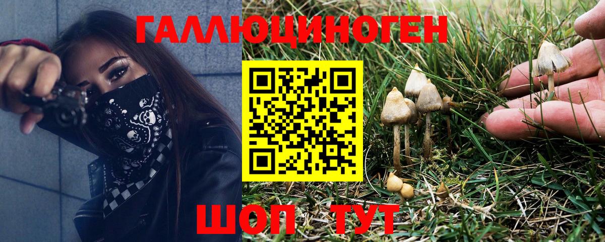 Галлюциногенные грибы ЛСД  Вход с VPN  Махачкала 